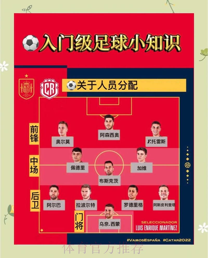 世界杯外围平台稳定性深度剖析